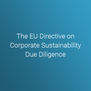 Iss-esg-the-eu-directive-on-corporate-sustainability-due-diligence | ISS